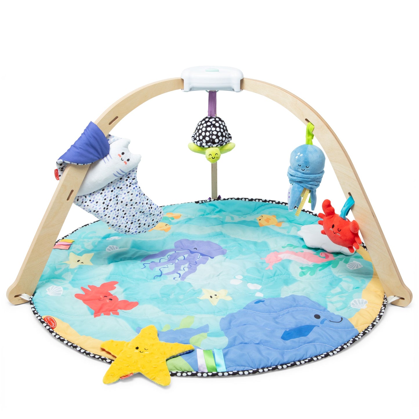 Ocean Easy-Fold Play Gym